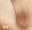 Baco Color Fast 100ml - 10-minute Permanent Colour