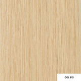 Angel Extensions Nano-bead Keratin Bond I-tip Extensions 25 Strands 20"/50cm